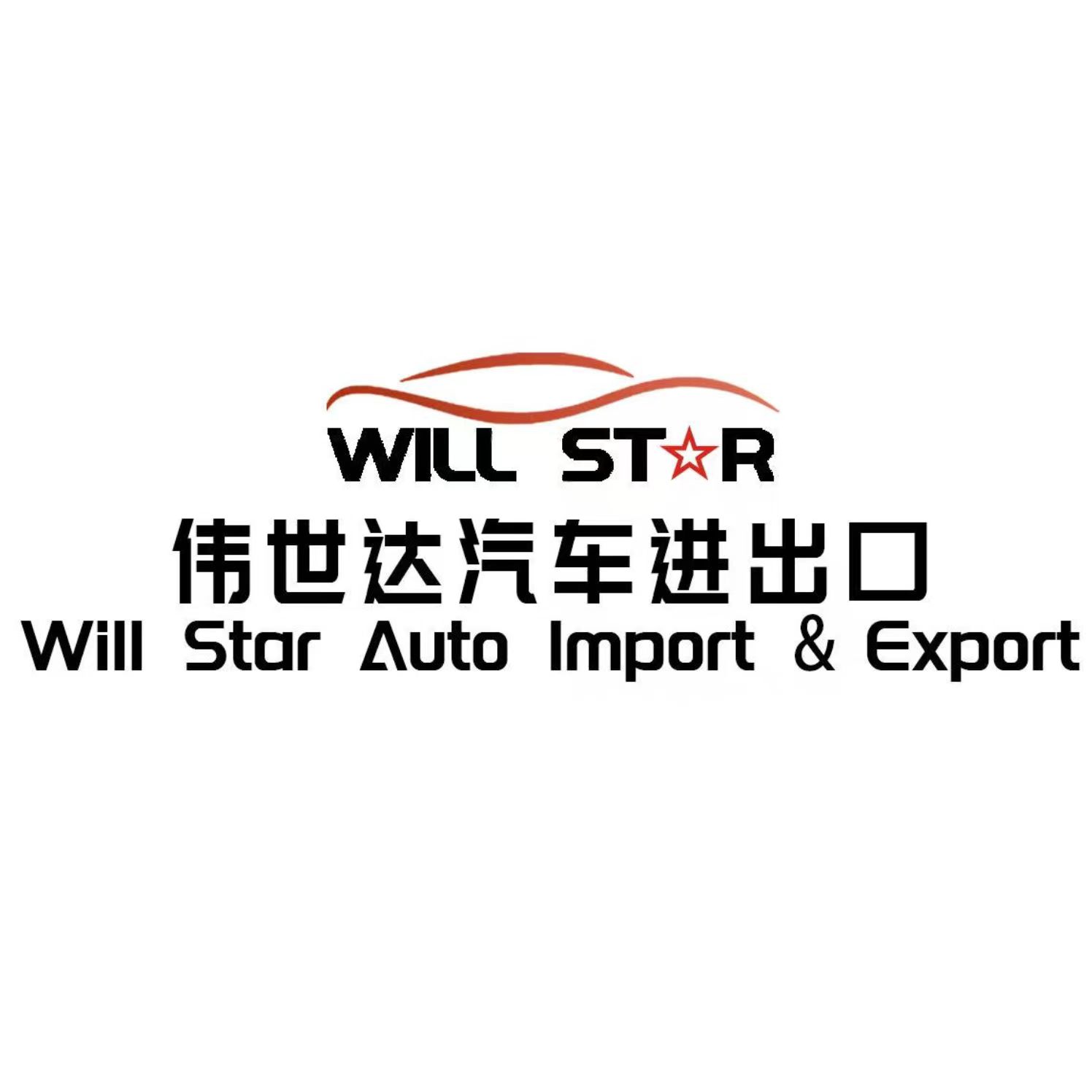 SHANGHAI WIILSTAR LINKMOTION VENTURES CO., LTD. logo