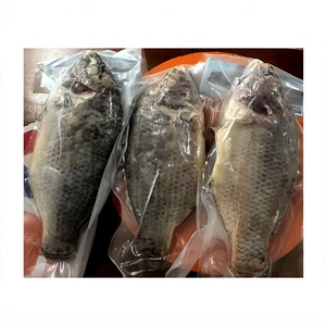 Cá rô phi đông lạnh | toàn bộ vòng & gutted | số lượng lớn bán buôn xuất khẩu từ Trung Quốc - Product Image 6