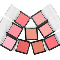 OCHAIN – Palette de fards à joues, OEM, 12 couleurs, poudre mate, chatoyante, marque privée, fard à joues étanche