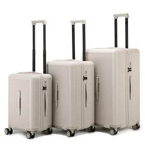 Valise en aluminium à grande capacité, à double roues, avec poignée latérale, de luxe, pour les voyages, les affaires, les loisirs, avec logo personnalisé en gros - Product Image 1