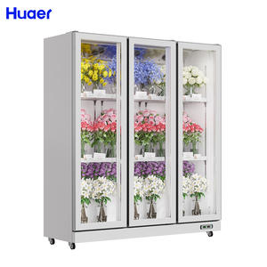Refrigeración por aire Flor de corte fresco <span class=keywords><strong>Floreria</strong></span> 2 Frigoríficos de puerta de vidrio para exteriores de doble puerta con pantalla de temperatura única a la venta - Product Image 5