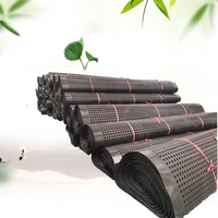 Nouvelle cellule de drainage en plastique 1000g/m² – Produits de drainage géocomposite 30mm