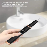 Herramienta Portátil para Eliminar la Placa Dental, Eliminador de Placa Recargable para Dientes, Raspador de Dientes, Eliminador de Sarro, Herramientas Dentales