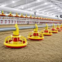 Système d'élevage avicole complet pour 30 000 volailles, poulailler automatique pour poulets de chair, système d'alimentation et d'abreuvement, équipement de ferme de grande taille