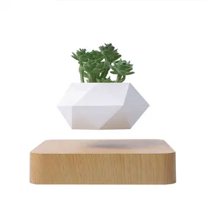 Planter Magnetic Levitating Flower Floating Plant Pot Newest Design Home Decoration Christmas Birthday Gifts Air Plants Bonsai