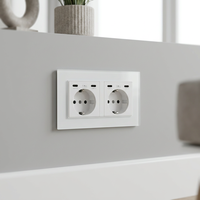 Prise murale double Schuko EU en verre trempé avec double port USB Type C+C