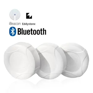 ผู้ผลิตเดิมผลิตบีคอน Bluetooth ใช้พลังงานต่ําเป็นพิเศษ ปรับแต่ง 6 UUID ช่วง 120 ม. Eddystone BLE5.1 บีคอน