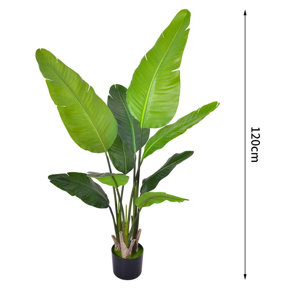 120cm