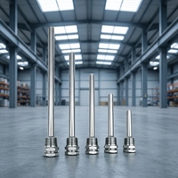Capteur de température Siemens QAE avec sonde en acier inoxydable 304, profondeur d'insertion non standard, filetage personnalisé, Chine continentale