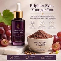 Extrait de pépins de raisin 95% OPC Proanthocyanidines HPLC de qualité alimentaire, poudre brun rougeâtre, fourni par l'usine