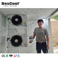 Cámara Frigorífica Comercial Personalizable de 4.7*3*2.7m con Sistema de Refrigeración Copeland, Control de Temperatura de -10~-20 Grados, Motor de 100mm