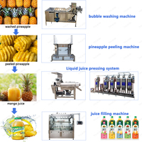 Ananas Mango Sap Verwerkingslijn/Vruchtensap Productielijn Machine