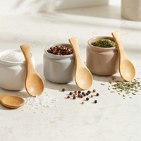 Petites cuillères en bois pour mélanger le café, cuillères à thé, cuillères à mélanger pour manger, cuillères à thé glacé, cuillères à crème glacée