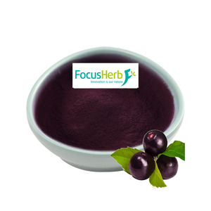 FocusHerb, Almacén en EE. UU., Suministro de Alta Calidad, Extracto de Polvo de Baya de Maqui Natural de Grado Alimenticio - Product Image 1