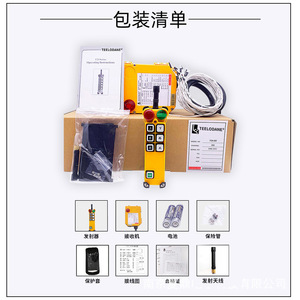 Teelodane F24-6D <b>Wireless</b> Crane Remote <b>Control</b> 100m Range Industrial Electric Hoist Operation - Product Image 1
