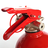 Mini aspirateur de feu portable, poudre abc, pour la sécurité de la maison et de la voiture, nouveau design livraison gratuite