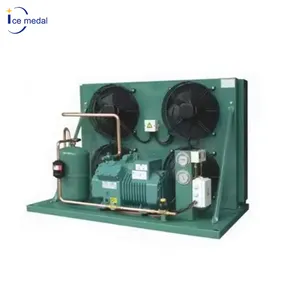 Icecooling 5HP 5HP 12HP Air 40HP soğuk oda soğutma kompresörü ünitesi hava soğutma yoğuşmalı ünitesi