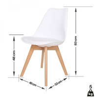 Chaise de Salle à Manger de Luxe Design Italien avec Pieds en Bois Scandinave, Chaise d'Appoint en Bois et Plastique pour Table à Manger