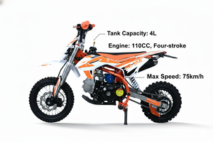 110cc 4 Stroke Offroad Dirt Bike <b>Gasoline</b> Motorcycle Adult Teenage Two-Wheel Motocross - Product Image 3