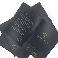 Carpeta de Presentación con Logotipo Personalizado, Estampado en Caliente, con Bolsillo, Impresión de Papel de Carta de Bienvenida para Paquete de Cliente