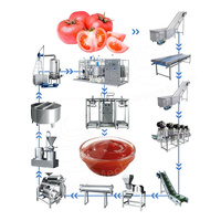 Orme Volautomatische Ketchup Maker Tomatenpuree Maken Machine Machine Tomatenpuree Fabricage Machine Procesfabriek