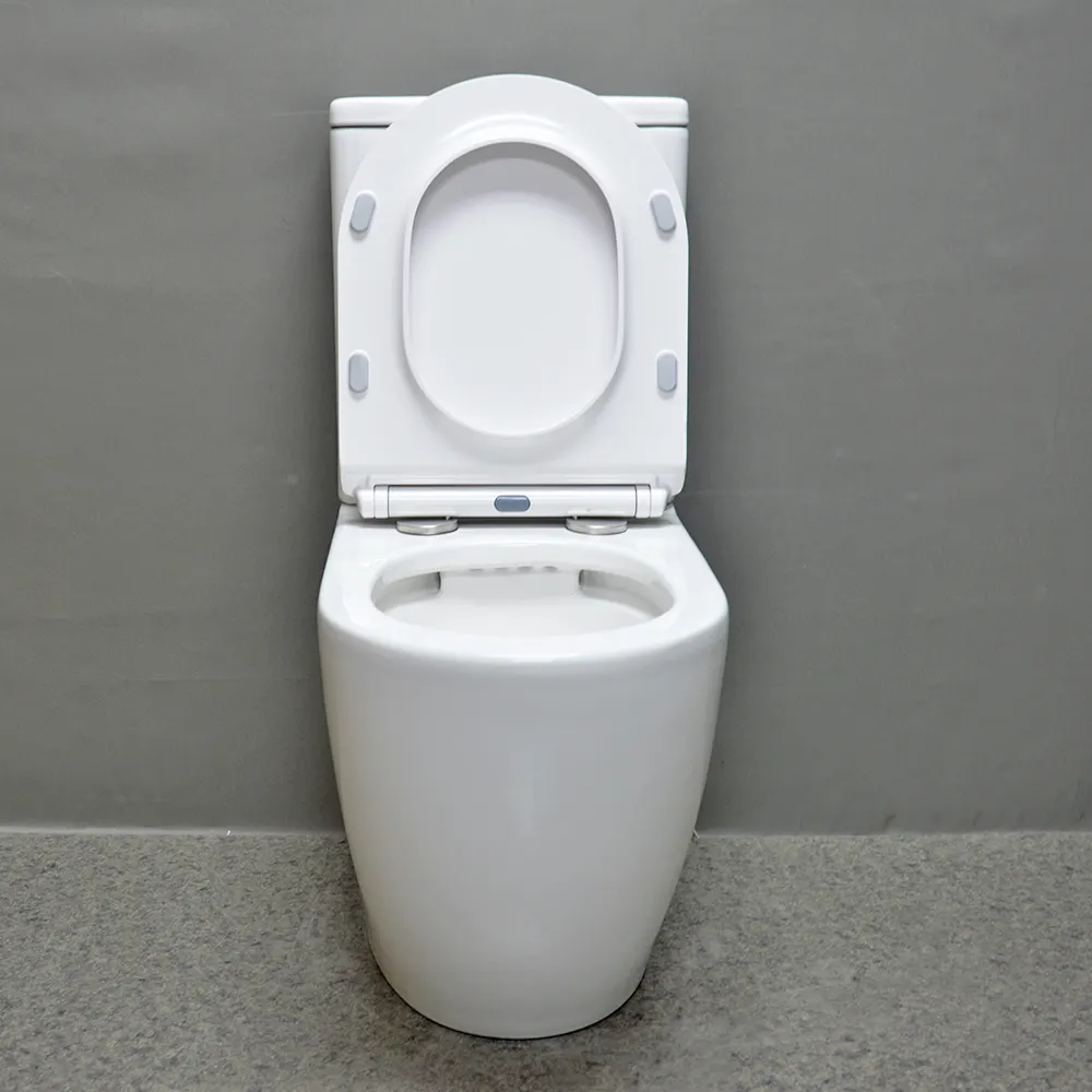 Wasser zeichen Badezimmer zweiteilige WC Sanitär keramik zurück zur Wand Boden montage Keramik Bidet komplette Toilette Set