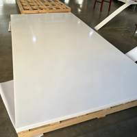 Feuille de plastique en polyéthylène haute densité (HDPE) - Excellente résistance chimique - Découpe sur mesure pour usage industriel