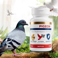 MNK Vente en gros d'usine Suppléments avancés pour pigeons granules Améliorer la vitalité de l'élevage Endurance de vol Plume Santé Vitamine sans danger