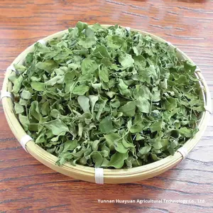 Оптовая продажа листьев семян Yunnan <span class=keywords><strong>Moringa</strong></span> AD сушеные сырые листья <span class=keywords><strong>Moringa</strong></span> 1 кг - Product Image 5