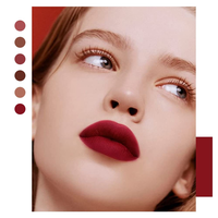 Rouge à lèvres liquide de luxe effet diamant, sans cruauté, longue tenue, waterproof, gloss minéral avec étiquetage de haute qualité pour le maquillage