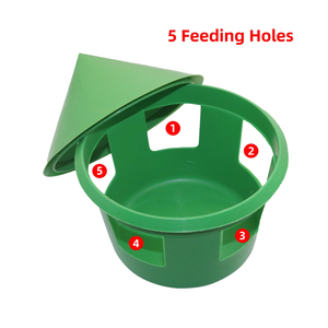 Caja de arena para la salud de las <span class=keywords><strong>palomas</strong></span>, con 5 o 6 orificios, para <span class=keywords><strong>palomas</strong></span> mensajeras, comedero multifuncional para <span class=keywords><strong>palomas</strong></span> - Product Image 3