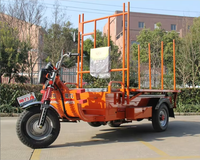 Tricycle électrique à 3 roues avec pompe hydraulique de levage Changli 2026 – Vélos cargo électriques