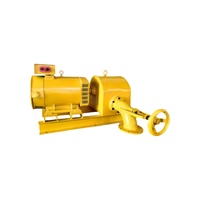 Planta Hidroeléctrica Pequeña de 1000KW con Turbina Kaplan, Generador Hidroeléctrico de Acero Inoxidable, 50/60Hz