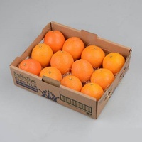 Barquettes en papier pour fruits en supermarché, emballées dans des boîtes en papier de 5 livres pour la présentation.
