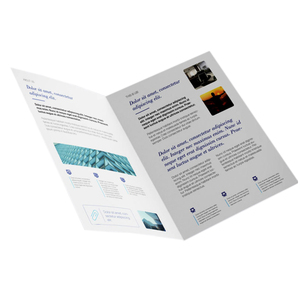Service d'impression de catalogues publicitaires personnalisés, de dépliants, de livrets, de prospectus et de brochures avec papier offset et carton - Product Image 4