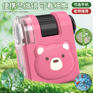 Children's Mini Portable Microscope Cartoon Panda Design LED Light Science Toy For Primary Secondary Students Teaching Use - Product Image 2