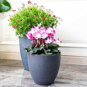 <span class=keywords><strong>Pot</strong></span> de fleurs <span class=keywords><strong>horticole</strong></span>, plante verte, pierre givrée, résine européenne, épaissi, durable, <span class=keywords><strong>pot</strong></span> en plastique écologique - Product Image 4