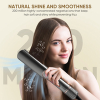 Sèche-cheveux et lisseur 2 en 1 Secador De Pelo Fer à lisser professionnel portable pour salon de coiffure