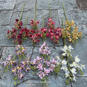 LE-227 Vente en gros directe <span class=keywords><strong>d</strong></span>'usine, orchidée Cattleya artificielle à tige unique, toucher réel, pour mariage et <span class=keywords><strong>d</strong></span>écoration intérieure - Product Image 1