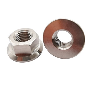 Chất lượng cao Titan Hex mặt bích Nut ti6al4v Lớp 5 Loại sản phẩm hạt đánh bóng kết thúc - Product Image 1