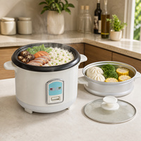 Cuisinière à riz électrique intelligente de luxe 0,6L-2,8L en acier inoxydable avec cuve antiadhésive, portable pour usage domestique, extérieur et hôtelier