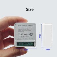Mini Interrupteur Intelligent WiFi 16A DIY Pour Lumières Contrôle Sans Fil Maison Connectée Avec Tuya Smart Life Alexa Google Home