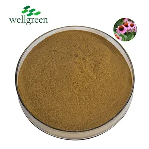 4% Echinacea Purpurea Extraktpulver Polyphenole 10:1 20:1 Echinacea-Extrakt
