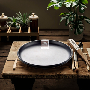 Plato de cena redondo de melamina para Pizza y Pasta para restaurante - Product Image 3