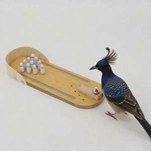 ของเล่นสำหรับฝึกสมดุลนกแก้วของเล่นสัตว์เลี้ยงแบบโต้ตอบสไตล์โบว์ลิ่งโต๊ะไม้อุปกรณ์ฝึกสมดุลนกแก้ว - Product Image 6