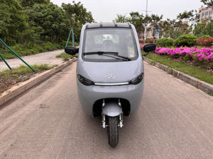 <span class=keywords><strong>Scooter</strong></span> électrique 3 <span class=keywords><strong>roues</strong></span> pour adultes, 2 places, certifié CEE, prix d'usine, carrosserie ouverte, batterie au lithium, voiture de ville - Product Image 2