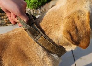 En Stock 4cm <span class=keywords><strong>Collar</strong></span> de perro de combate resistente Fácil liberación rápida Hebilla de metal <span class=keywords><strong>Collar</strong></span> de perro táctico - Product Image 6
