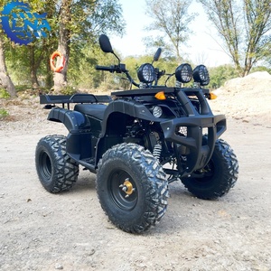 Cuatrimoto Agrícola LNA con Certificación CE, 250cc, Robusta, Diseñada para Durar, Alquiler para Safari - Product Image 3