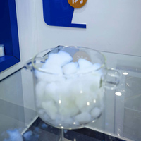 Aerogel de Sílice Irregular al por Mayor de Fábrica, Monolito Hidrófobo para Aislamiento Térmico, Aerogel para Experimentos de Popularización Científica
