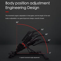 Chaise romaine professionnelle, banc d'hyperextension réglable et pliable, machine d'extension dorsale pour la maison et la salle de sport